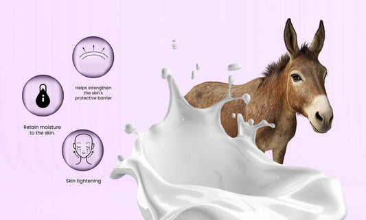 Sensitive Skin Guide: Why Donkey Milk is a Gentle Yet Powerful Solution